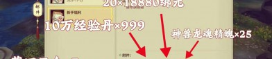 天龍私服發(fā)布網風險與問題解析：玩家需警惕信息不實與體驗差異